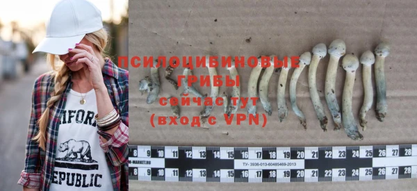 мет Абаза