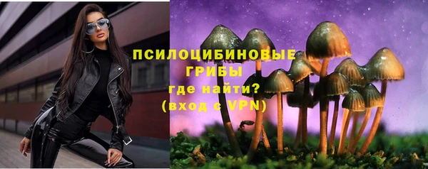 мет Абаза