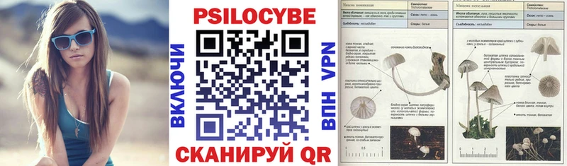 Псилоцибиновые грибы Psilocybine cubensis  Собинка 